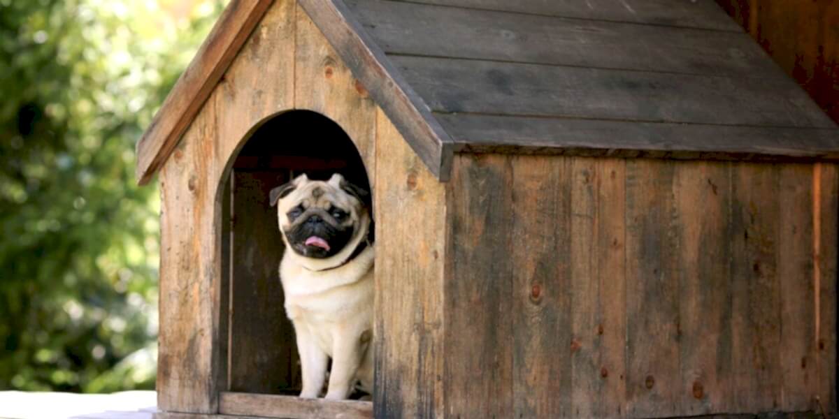 Konaklama Hizmeti, Konaklama Hizmeti