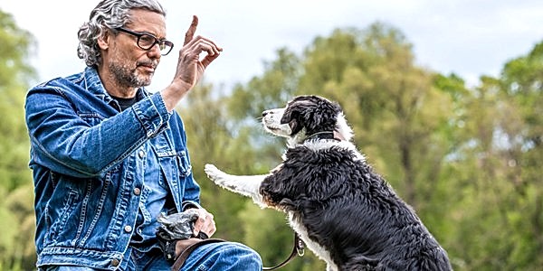 Temel İtaat Eğitimi, Temel İtaat Eğitimi