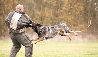 İstanbul Bodyguard Eğitimi, İstanbul Bodyguard Eğitimi