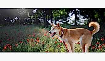 İstanbul Konaklama Hizmeti, İstanbul Konaklama Hizmeti