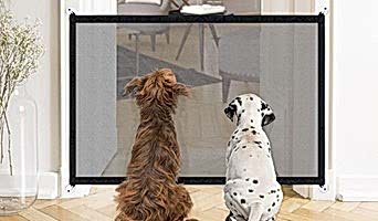 Köpek Otelinde Güvenlik Önlemleri Nasıl Alınır?, Köpek Otelinde Güvenlik Önlemleri Nasıl Alınır?